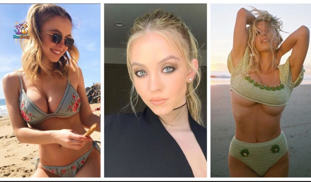 Dress, Shoe, and Bra Size Details